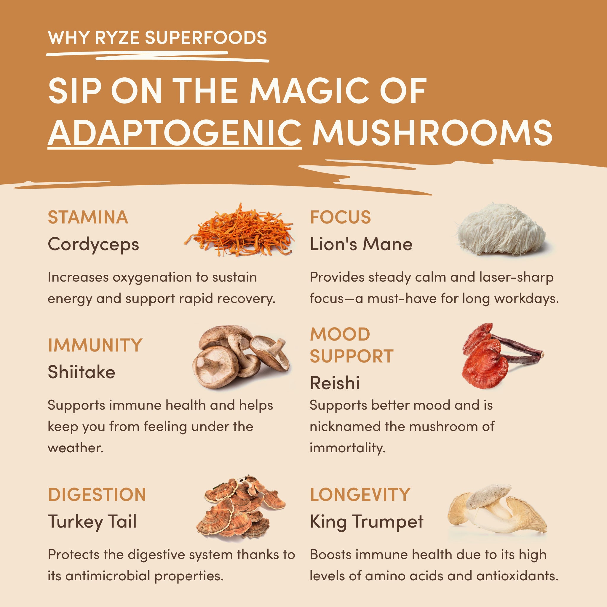 Mushroom Overnight Oats (14 Servings)
