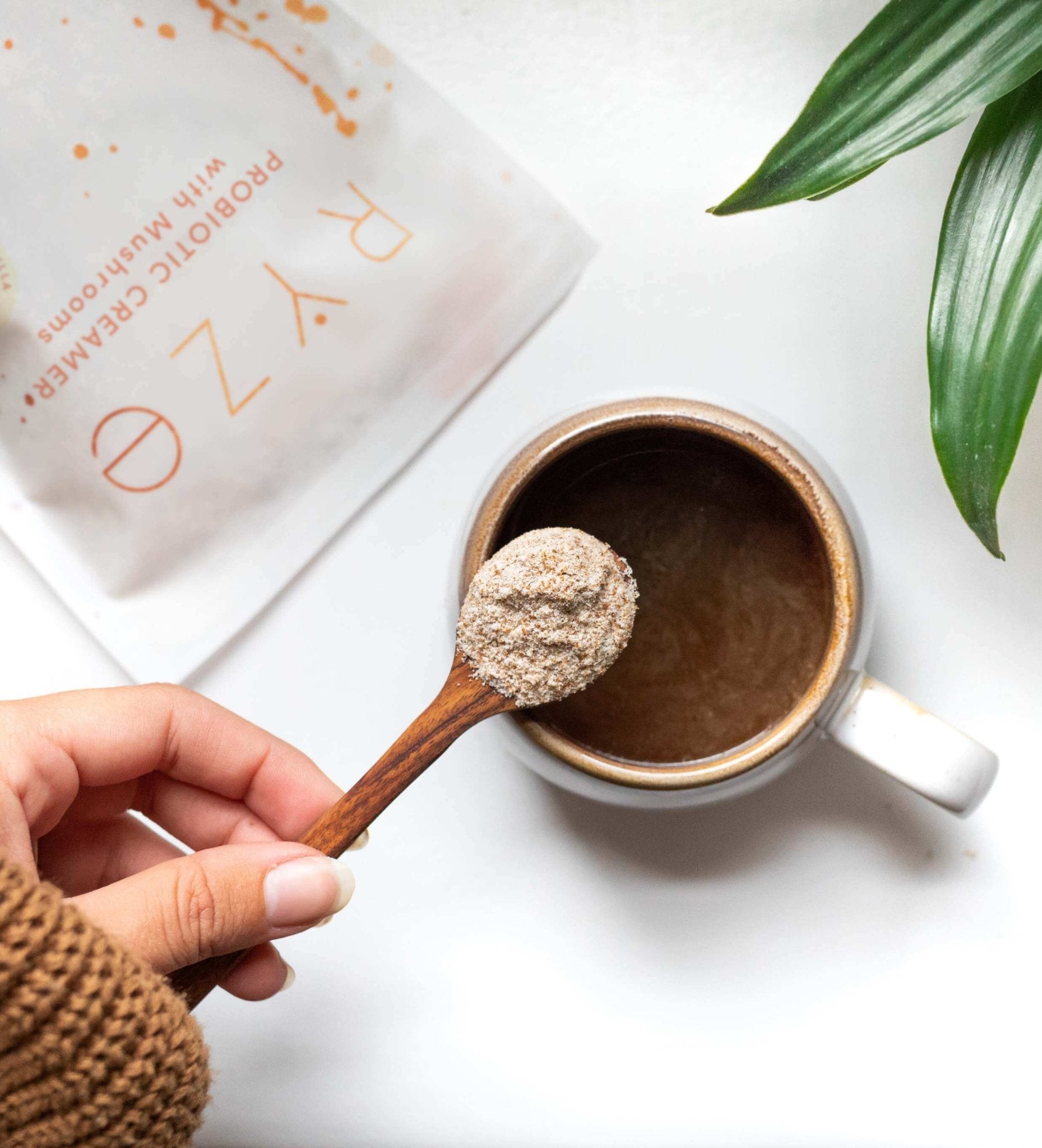 Probiotic Creamer (30 Servings)